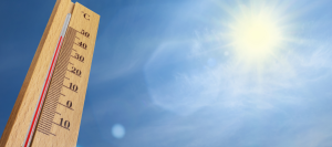 Capa-do-site-15-900x400-1