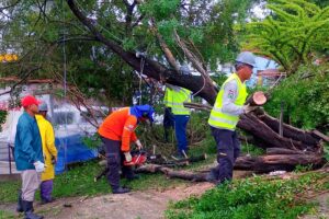 Imagem do WhatsApp de 2025-05-06 à(s) 17.20.12_c8f56de6