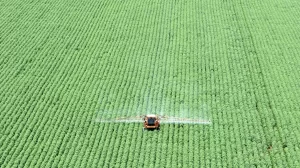 2021-12-08T214332Z_1_LYNXMPEHB7182_RTROPTP_4_BRAZIL-SOYBEAN-e1742844924280