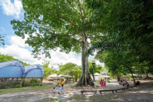 Imagem do WhatsApp de 2025-07-04 à(s) 13.24.09_2da814e5