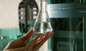 Imagem do WhatsApp de 2025-10-02 à(s) 14.09.05_d5862cbc